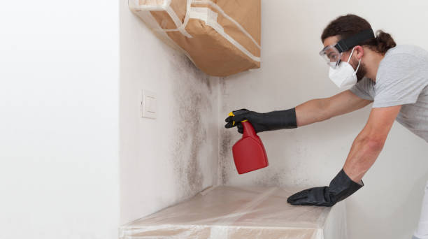 Professional Crawl Space Mold Remediation technician working in Mead, WA